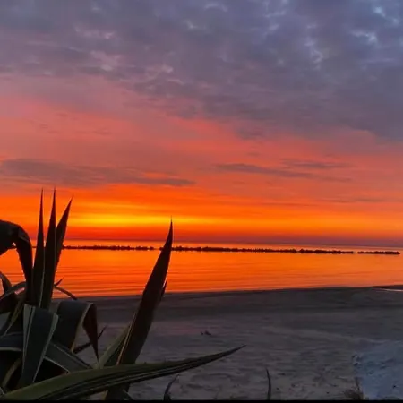 Appartamento 228 Villa Rosa Di Martinsicuro